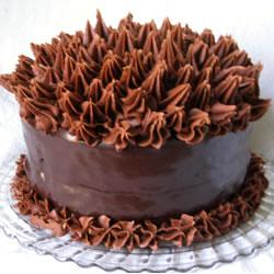 Gâteau de l'amant de chocolat extrême
