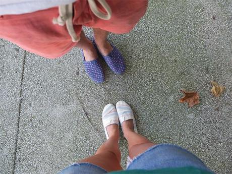 Paez Berries et Roma