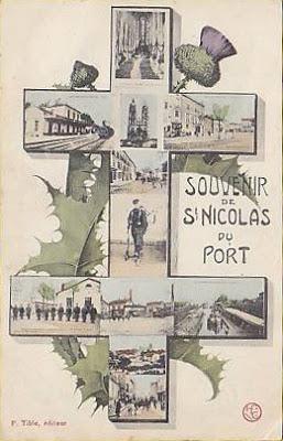 Qui s'y frotte s'y pique - chardon lorrain (305)