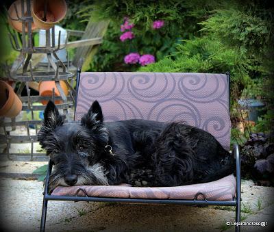 Aldo s'en est allé...