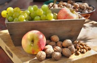 En octobre, on s’active pour le printemps ! Fruit d'automne