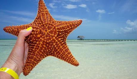 La Photo du mois La Photo du mois