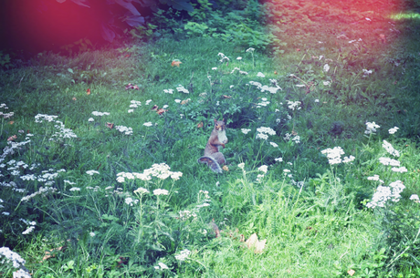 Comment Primark a tué mon compte en banque