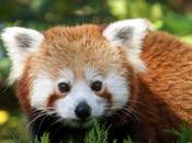 photo jour septembre