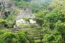 De Mexico à Cancún (4/6) : sur la route des Mayas, des temples et des cactus