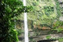 De Mexico à Cancún (4/6) : sur la route des Mayas, des temples et des cactus