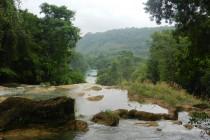 De Mexico à Cancún (4/6) : sur la route des Mayas, des temples et des cactus