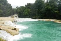 De Mexico à Cancún (4/6) : sur la route des Mayas, des temples et des cactus