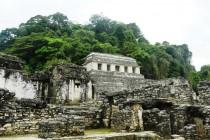 De Mexico à Cancún (4/6) : sur la route des Mayas, des temples et des cactus