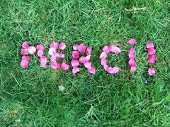 merci Les 9 raisons essentielles de cultiver une attitude de gratitude