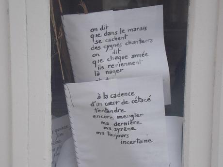 comme un reflet des choses