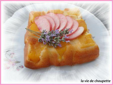 GATEAU LEGER A LA PECHE Recettes_light 004