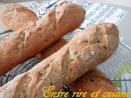 Baguettes aux graines toastées P9070088 sur Imagesia