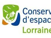 Découverte pelouse calcaire Pâtis Sexey-aux-Forges