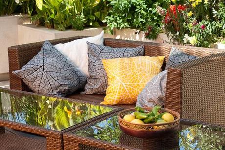 photo by shachar fleischmann1