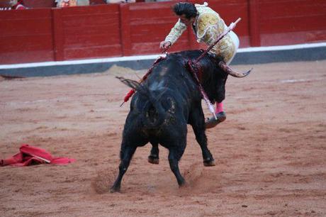 Salamanque septembre 2013 892