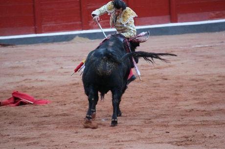 Salamanque septembre 2013 891