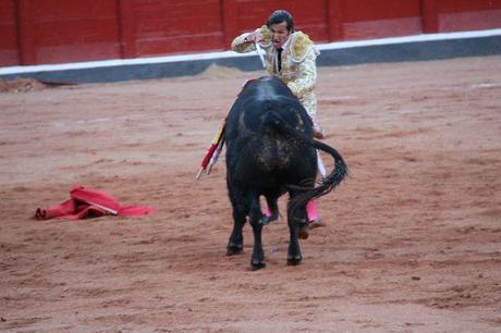 Salamanque septembre 2013 890