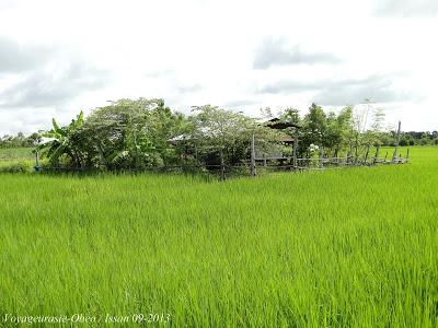 Pourquoi les Issans chantent l'Issan ? [HD]