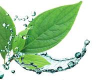 demaquillant micellaire