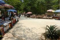 De Mexico à Cancún (5/6) : sur la route des Mayas, des temples et des cactus