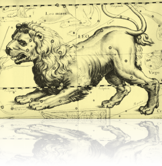 Dessin de la constellation du Lion par John Hevelius en 1690, également auteur d'un catalogue référençant 1564 positions d'étoiles pour l'an 1660.