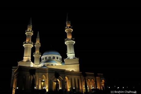 Majestueuse! Photo (C) Ibrahim Chalhoub