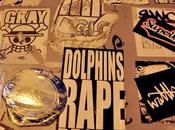 Dolphins rape people