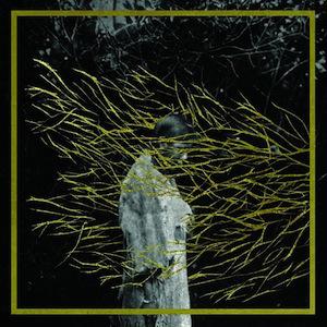 forest-swords_engravings_cover-500x500