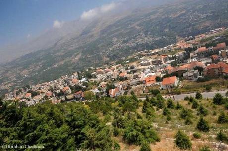 Entre les arbres des montagnes! Photo (C) Ibrahim Chalhoub