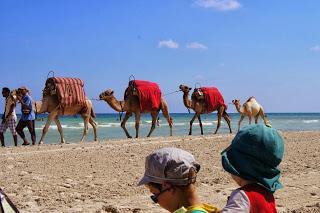 Visiter Djerba avec des enfants (Episode 2)