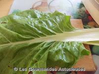 Gratin de Blettes et de Pommes de terre