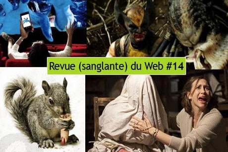 Revue-du-Web-14.jpg