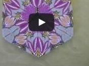 Tuto vidéo Créer magnifique cane fleurs
