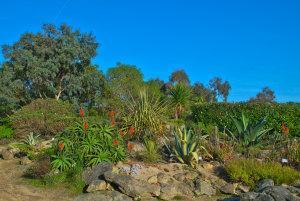 jardin botanique et exotique roscoff