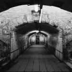 EVASION : Safari décalé à …Charleroi EVASION : Safari décalé à …Charleroi