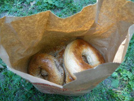 Bagels Montreal Canada Saint-viateur (4)