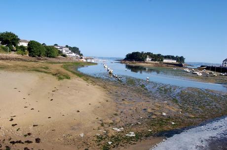 Vous m'en direz tant, ma brave dame !