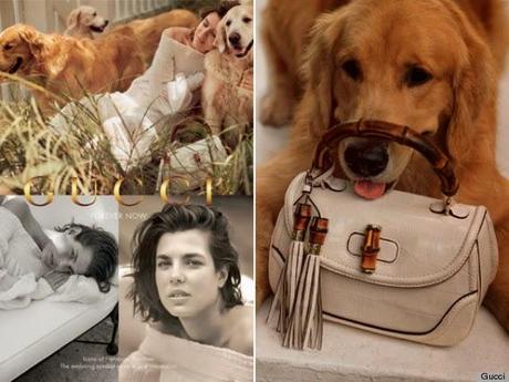 Charlotte Casiraghi pour la nouvelle campagne Gucci, Forever Now...