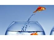 L'immigration dans société libre