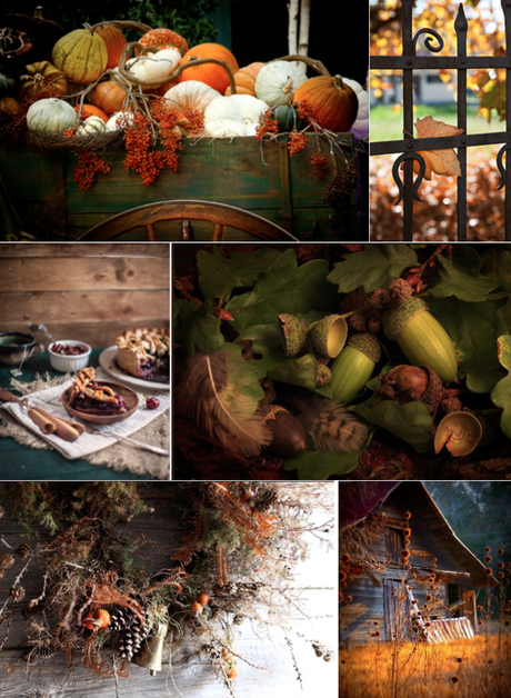 Vivement l'automne !