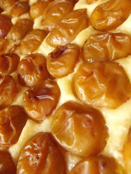 tarte briochée mirabelles    (3)