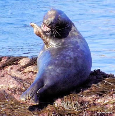 La photo du jour 21 septembre
