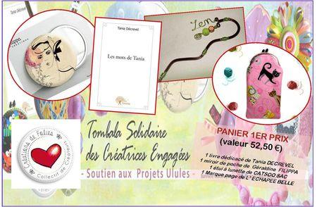 projet 3 pour safia et julie tombola