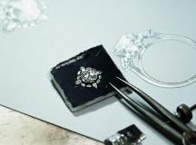 The Ultimate Bridal Collection Image 6