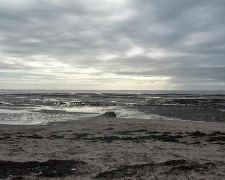 mon marronnier est en fleurs