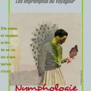 « NYMPHOLOGIE » /  les Impromptus du  » Voyageur Immobile »