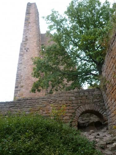 tourisme,chateau,région,alsace,voyages,culture,histoire