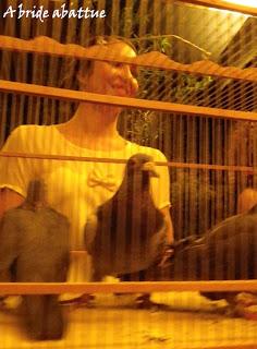 Une soirée au Nübbq