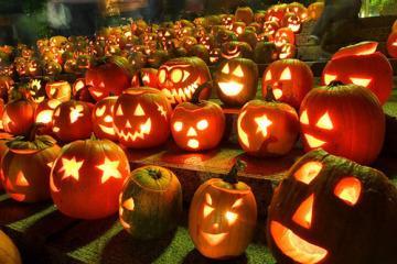 halloween pumpkins Aujourd’hui c’est l’automne et on en profite !
